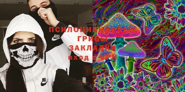 шишки Ступино