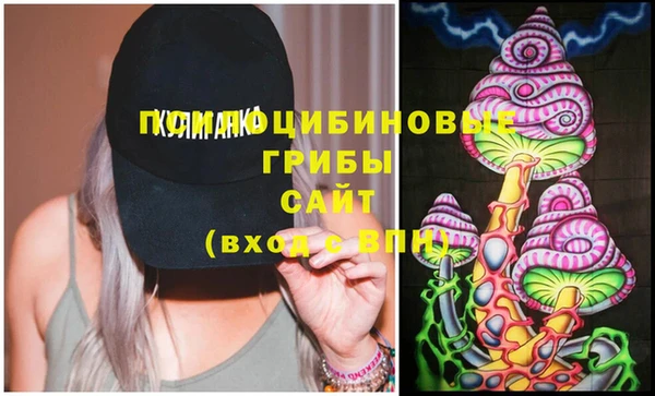 стафф Сосновоборск