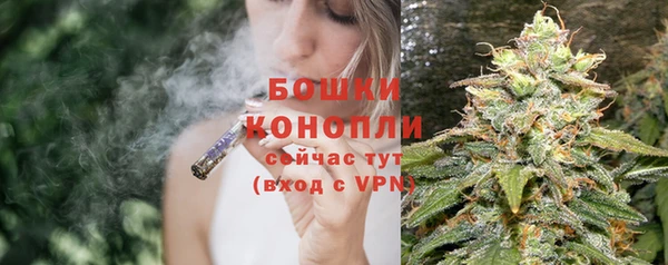 ПСИЛОЦИБИНОВЫЕ ГРИБЫ Струнино