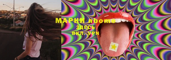 стафф Сосновоборск