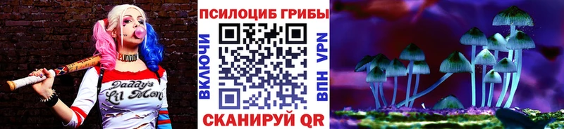 Псилоцибиновые грибы мухоморы  Купить  Донской 
